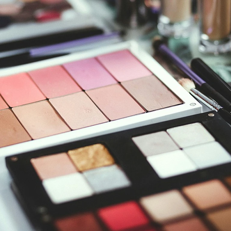 The Allure of a Versatile Makeup Palette