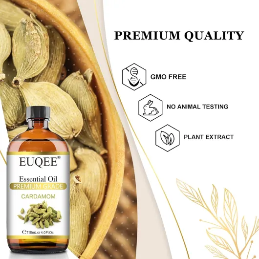 71xqtbzs6UL._AC_SL1500_