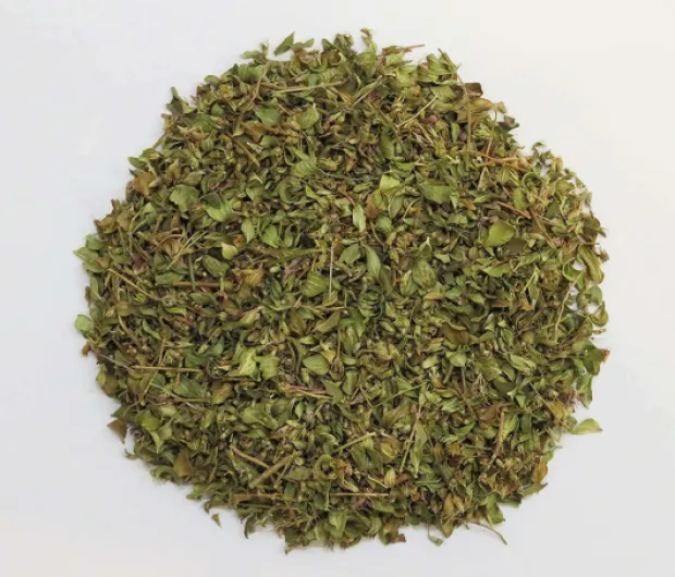 81bUujSGtjL._SL1500_