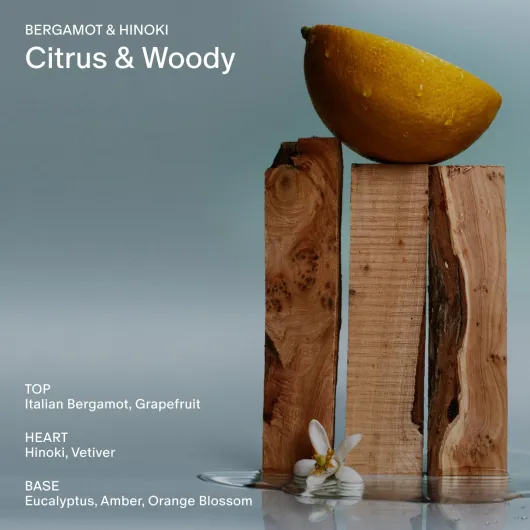 71dQVkRZ0KL._SL1500_