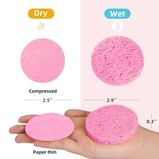 71G4RguphAL._SL1500_