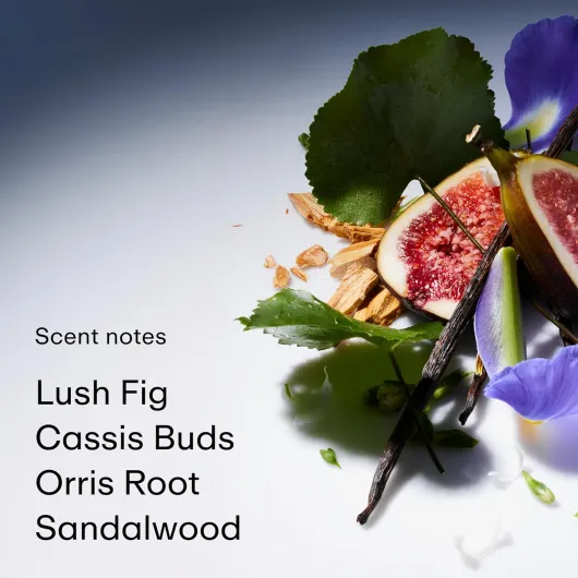 71zSrVw2 HL._SL1500_