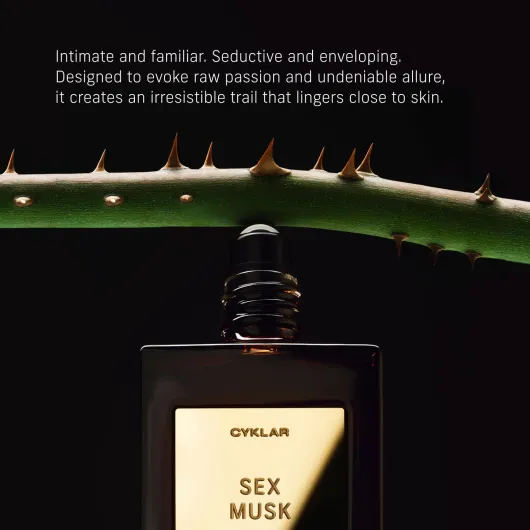 61A-sLXobeL._SL1500_