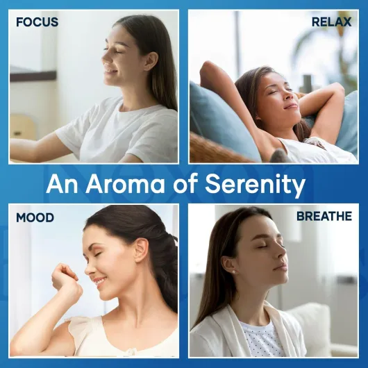 71BJweLLuWL._AC_SL1500_