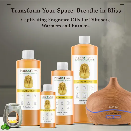 81bt9qSTX9L._AC_SL1500_