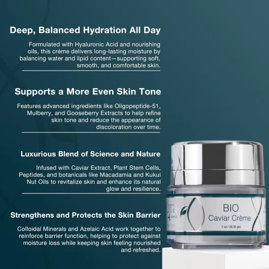 81jD pohXJL._SL1500_