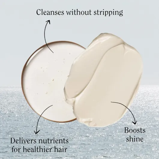 817RKHIaJIL._SL1500_