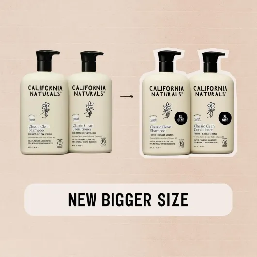 81wdV1Vvs4L._SL1500_