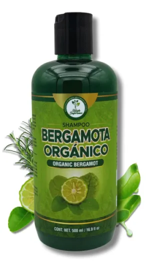 Shampoo organic bergamot (16.9 fl oz) with aloe vera & rosemary SHAMPOO ORGANICO BERGAMOTA con Sabila & Romero Cont - net - 500 ml 1 Fl Oz (Pack of 1)
