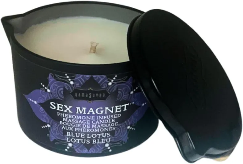 51xAK6-4SJL._AC_SL1080_